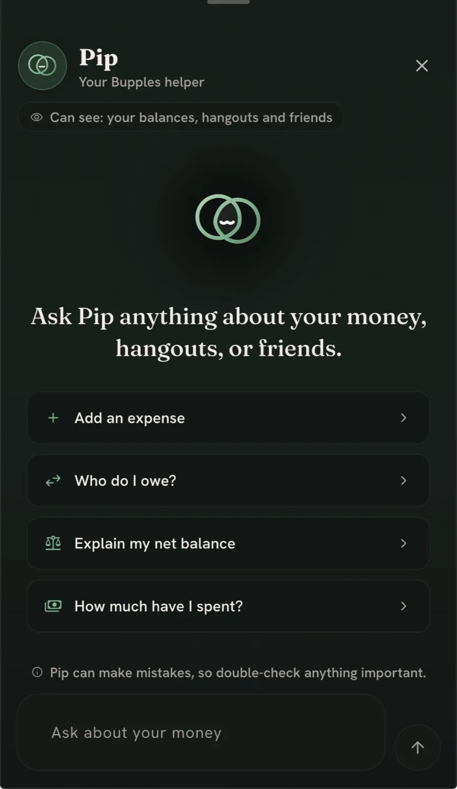 The Pip assistant sheet. A chip under the title reads "Can see: your balances, hangouts and friends", four suggested questions follow — add an expense, who do I owe, explain my net balance, how much have I spent — and a line above the input reads "Pip can make mistakes, so double-check anything important."